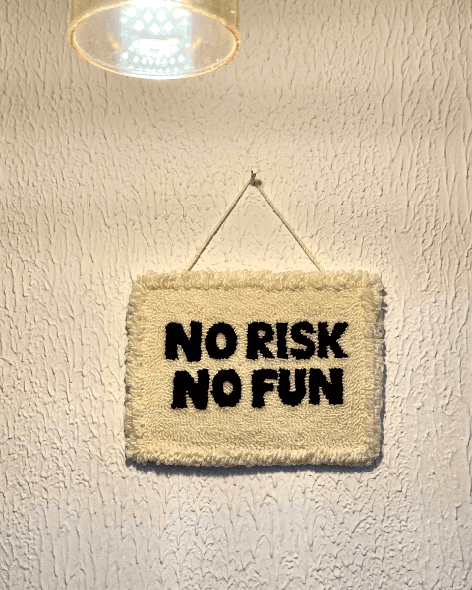 No risk No Fun Wall Hanger