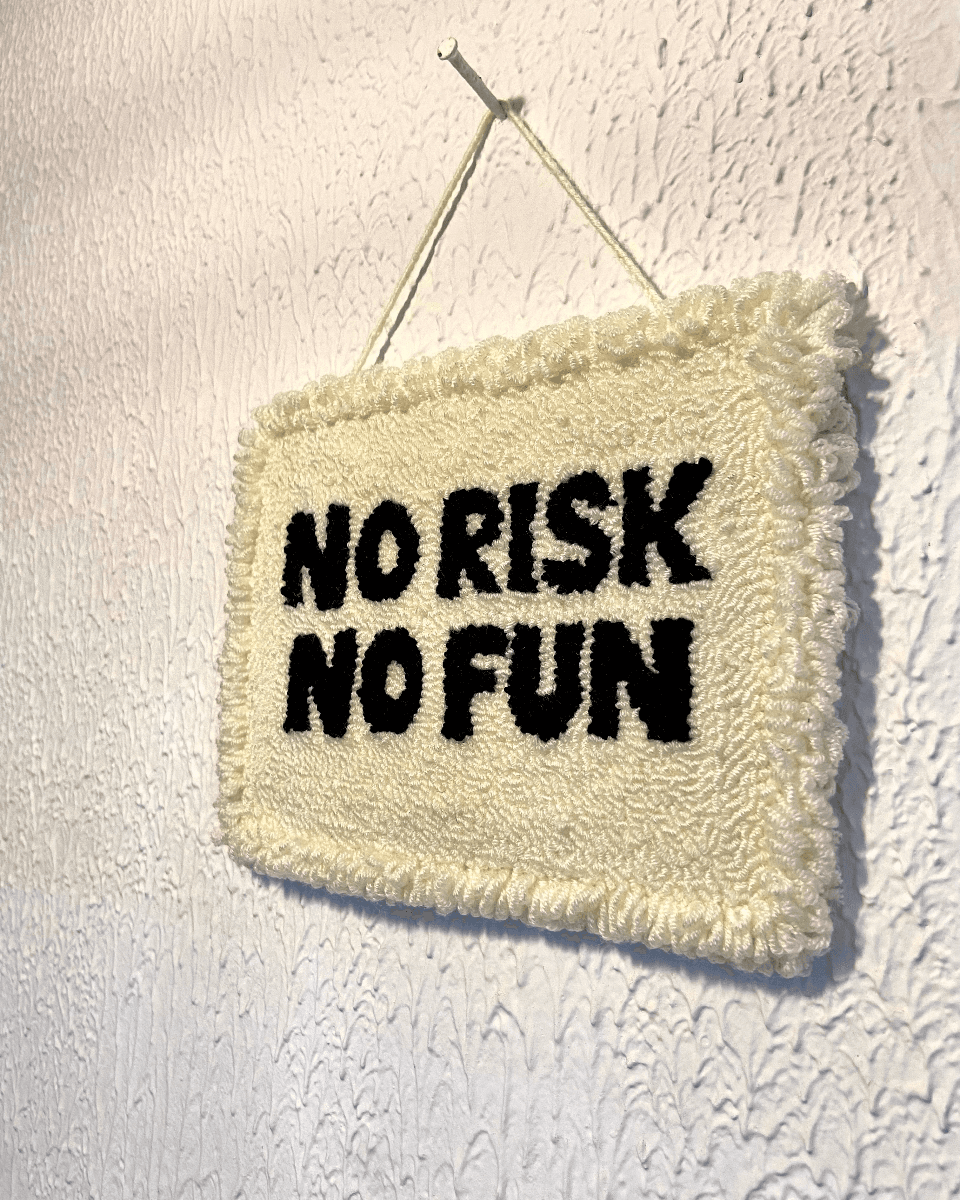 No risk No Fun Wall Hanger